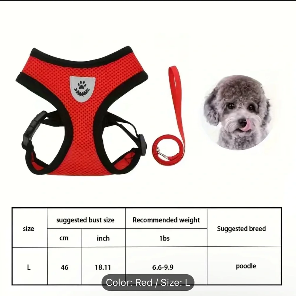 Red Harness & Leash Set